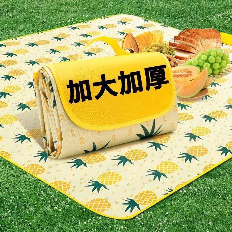 野餐垫野餐露营春游户外地垫防潮垫便携垫子用品ins风野餐布