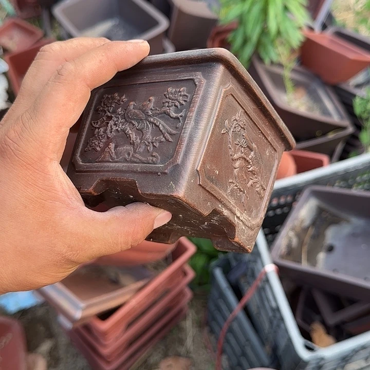 你说是你朋友啊个是