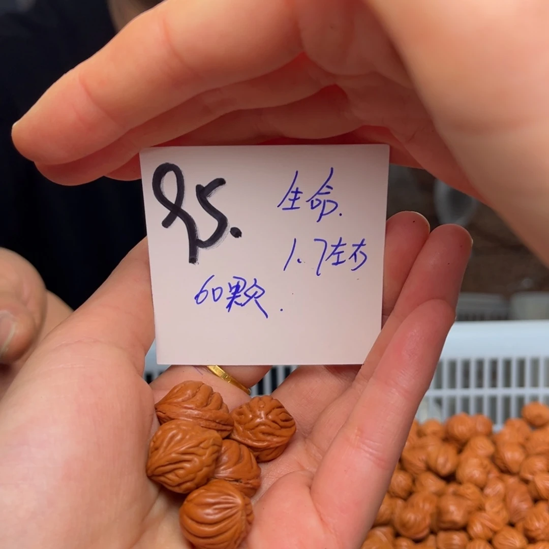 桃核吊坠s***空生命60颗1.7