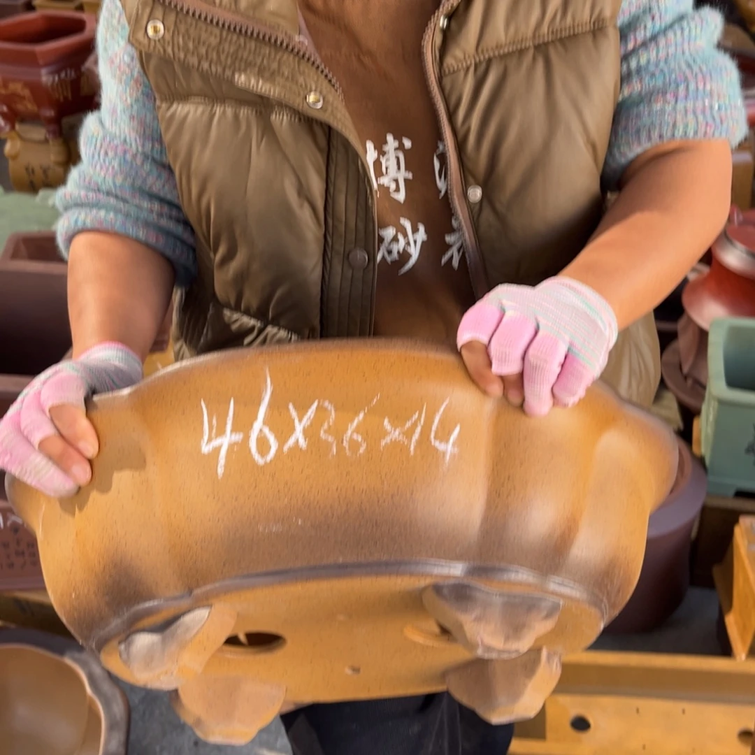 花盆紫砂盆景艺术