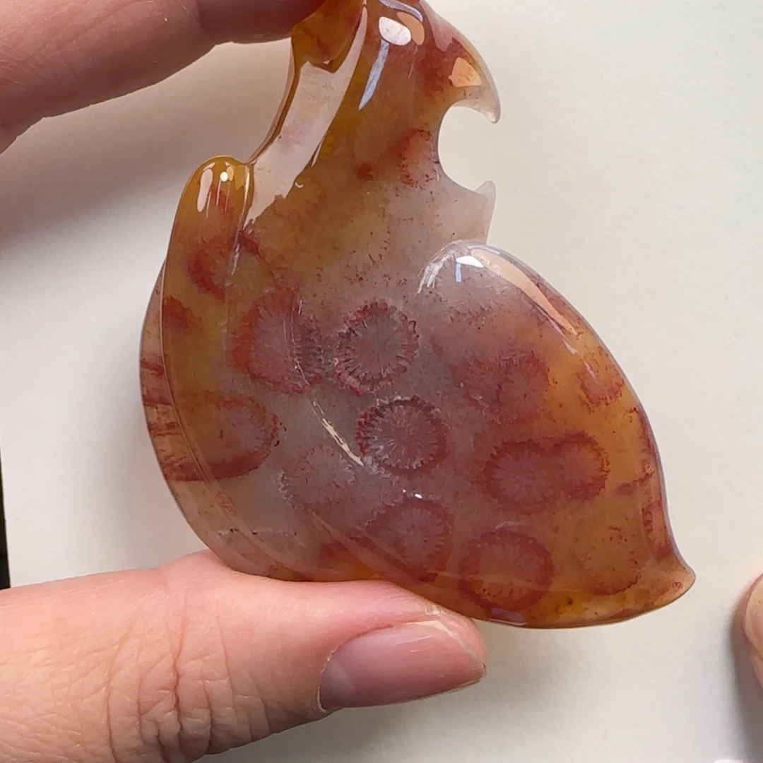 硅化珊瑚（珊瑚玉）未镶嵌颈饰