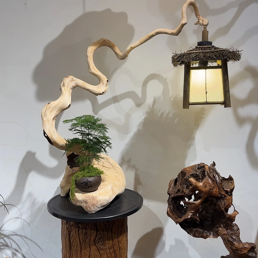 @***一香榧木实木整木根艺灯箱系列600