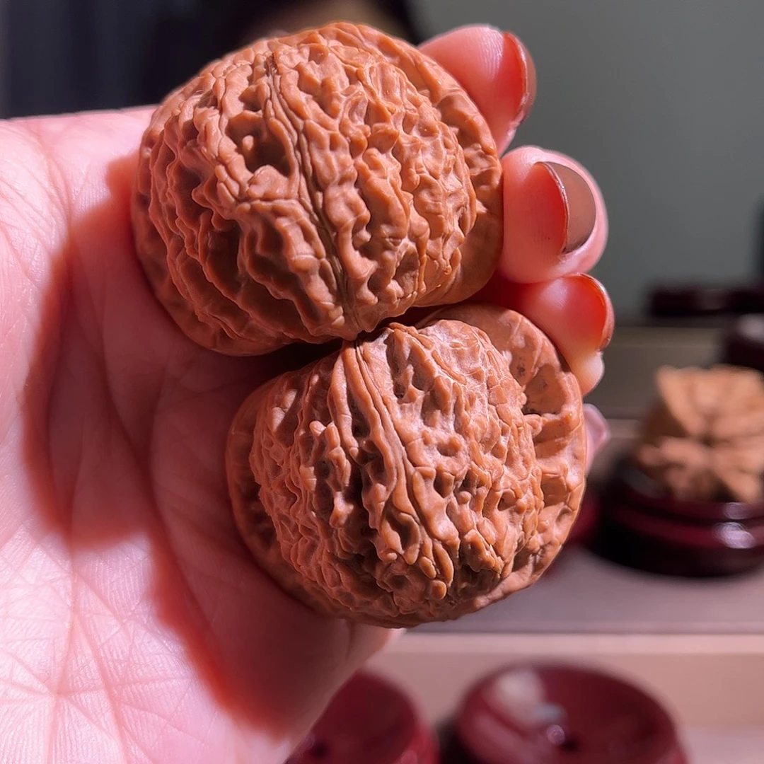 核桃白狮子一尺一克