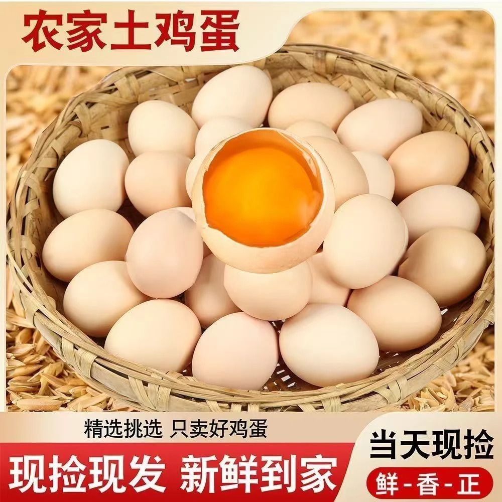 临泉县 农家散养鸡 鸡蛋