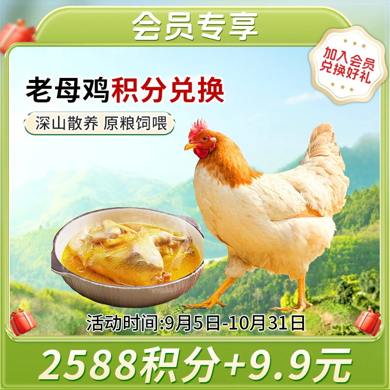 【积分兑换】--杨博士土鸡皖南老母鸡（净重1.8斤以上） 包冰率不含冰