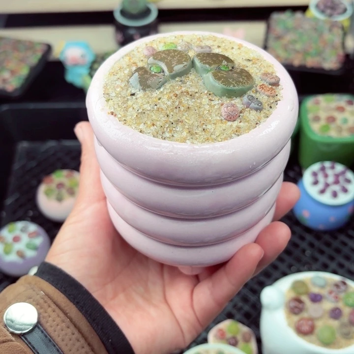 2045零下地区记得拍保温箱