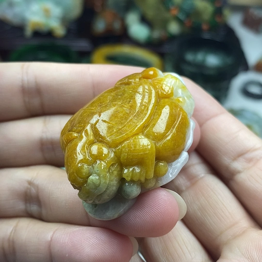 颈饰未镶嵌翡翠龙龟