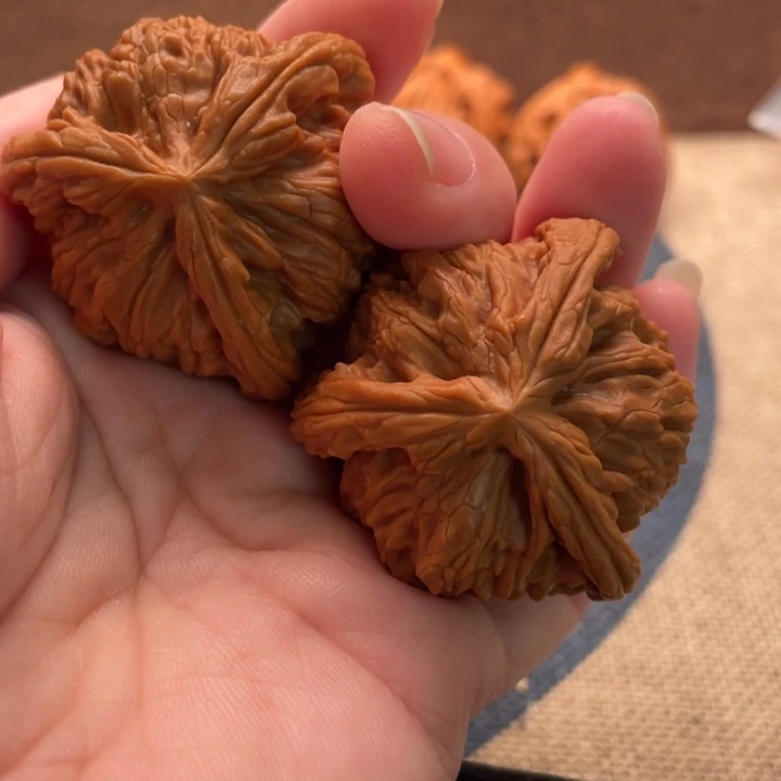 那***在核桃白狮子41核桃