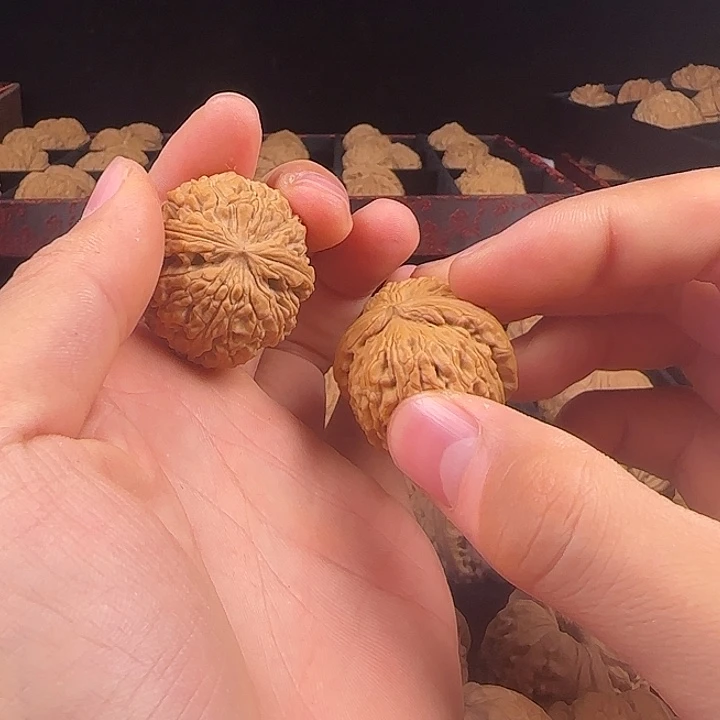 老***将吊坠龙脊菩提啊啊啊啊啊啊啊白狮子3