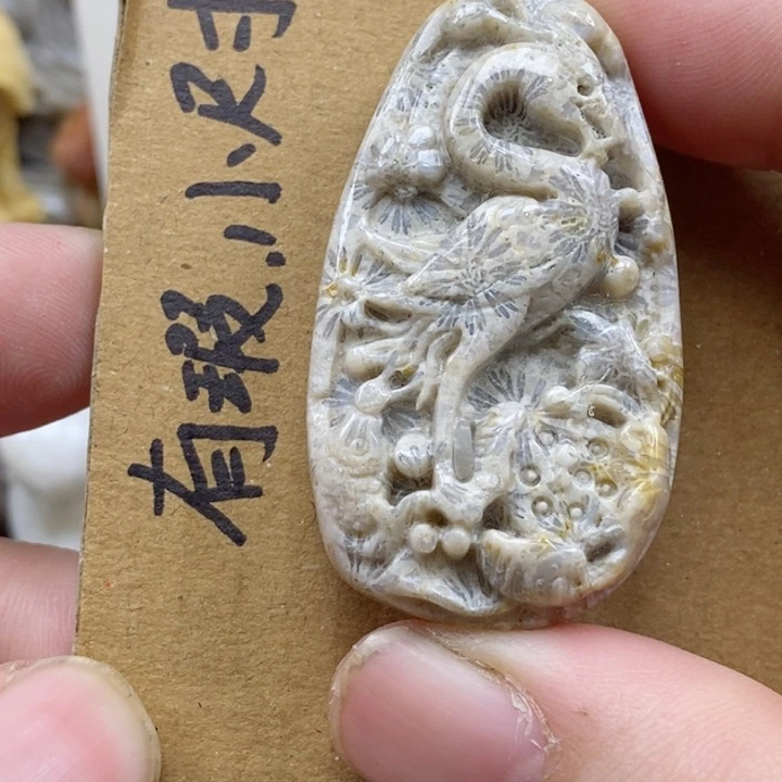 颈饰未镶嵌硅化珊瑚（珊瑚玉）