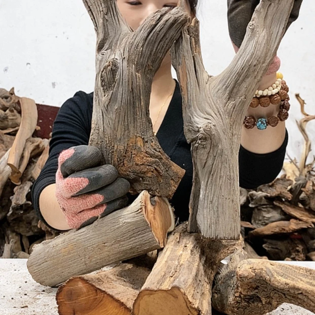 【闪购商品】柏木艺****销我们都是好孩子