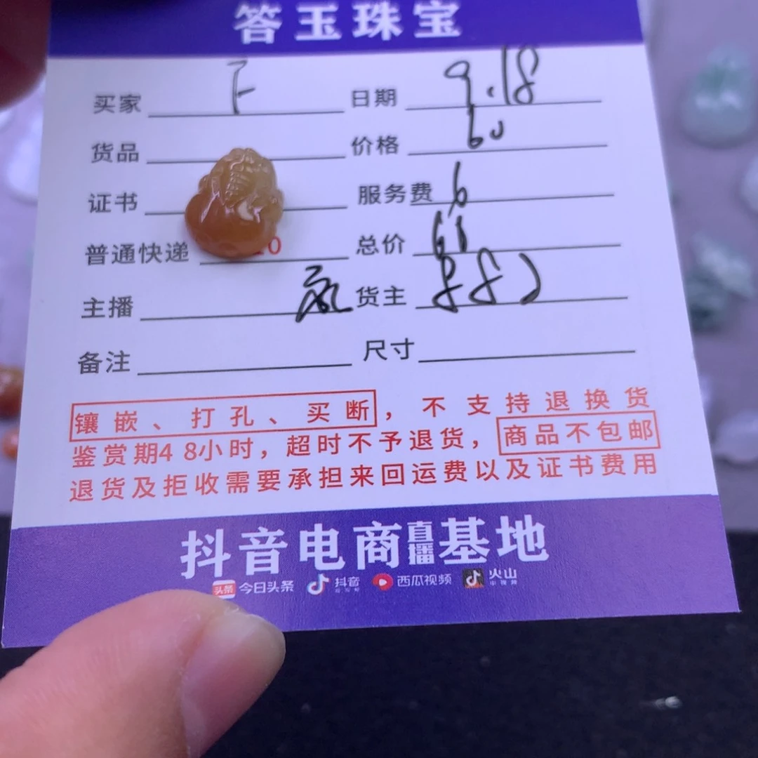 颈饰未镶嵌翡翠F*