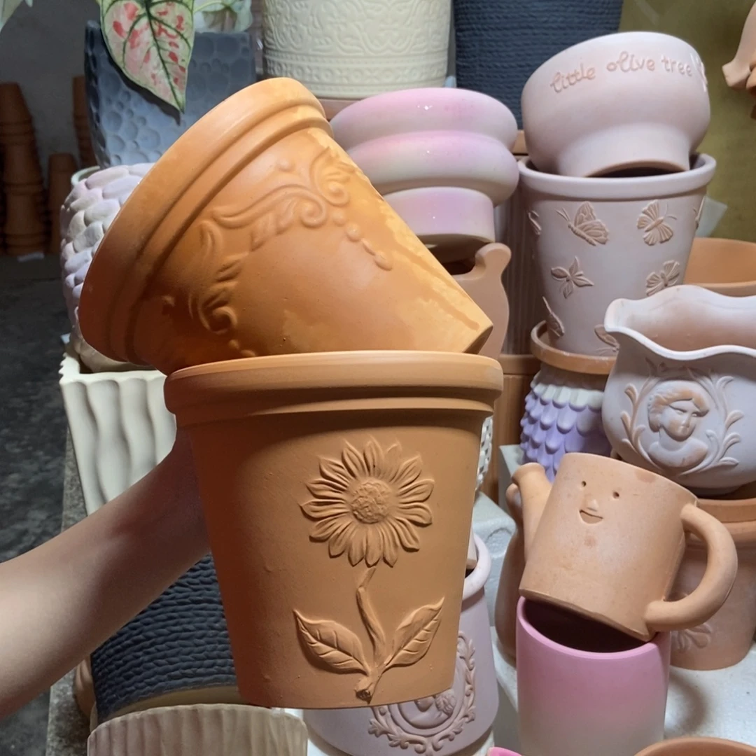 16×15红陶天使+向阳2个