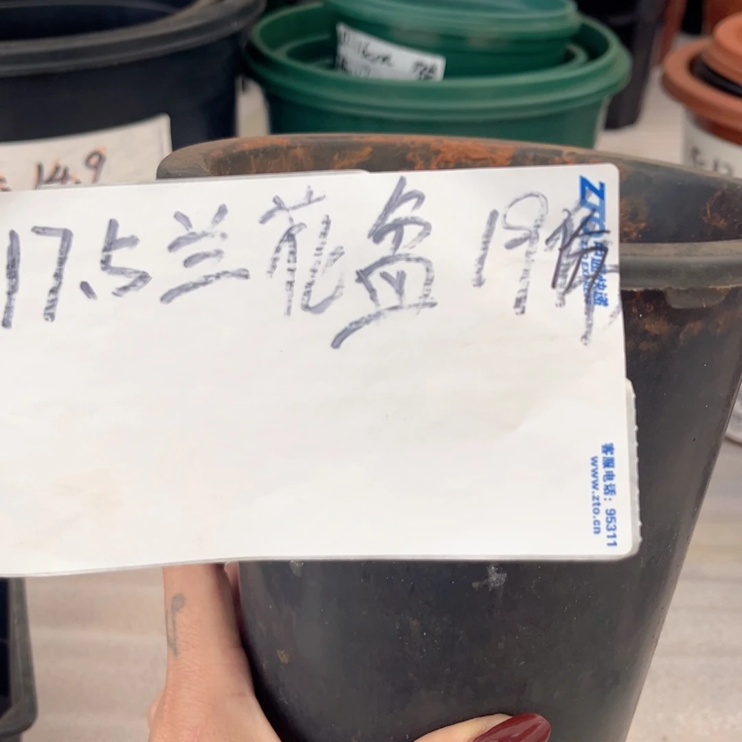 旧口径17.5高19兰花盆10个