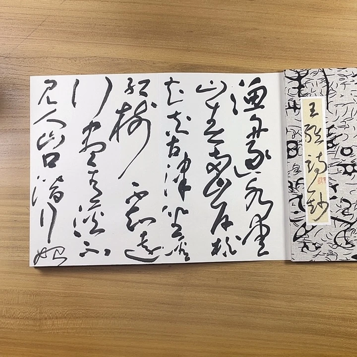 书法中书协老师作品