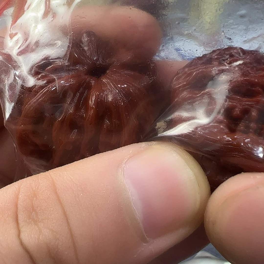 我们的生活方式是什么