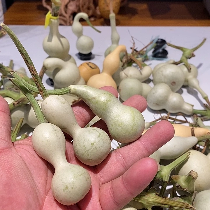 V*a精品葫芦手把葫芦84