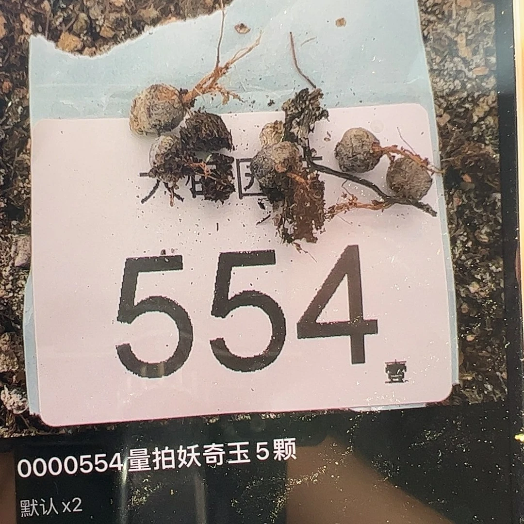 0000544量拍妖奇玉5颗尺寸非常小介意勿拍