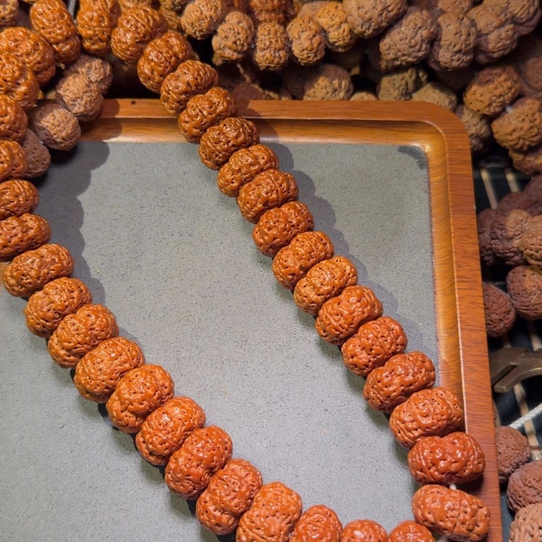 21号尼泊尔大金刚23.5-24飞碟梅花夹板手持