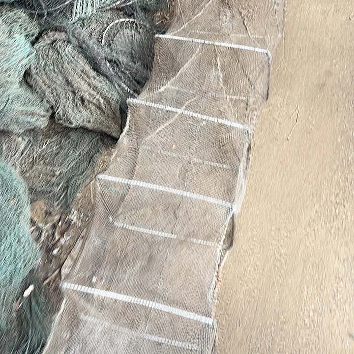 地***狗虾虾15555885588888