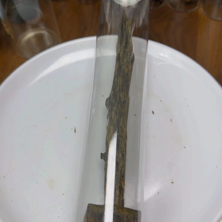 散***人沉香碎屑沉香陆河一代苗虫漏树心