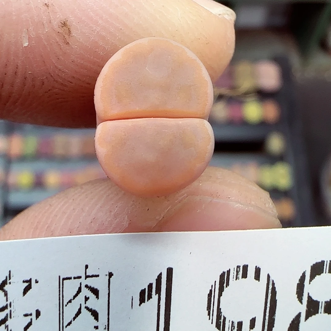 满满18包邮1231-198