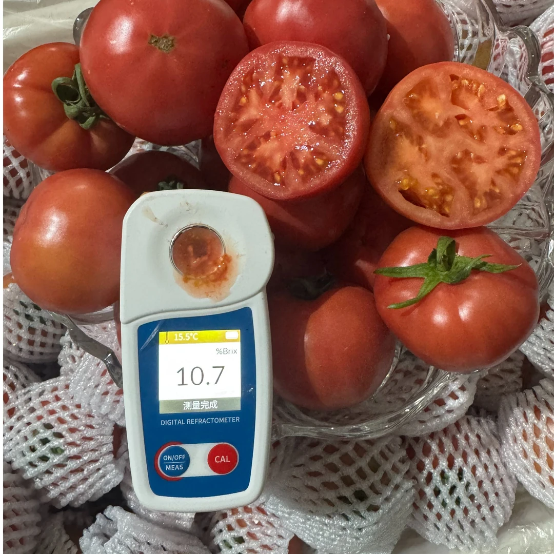 【京东到家】布兰妮口感番茄 酸甜爆汁