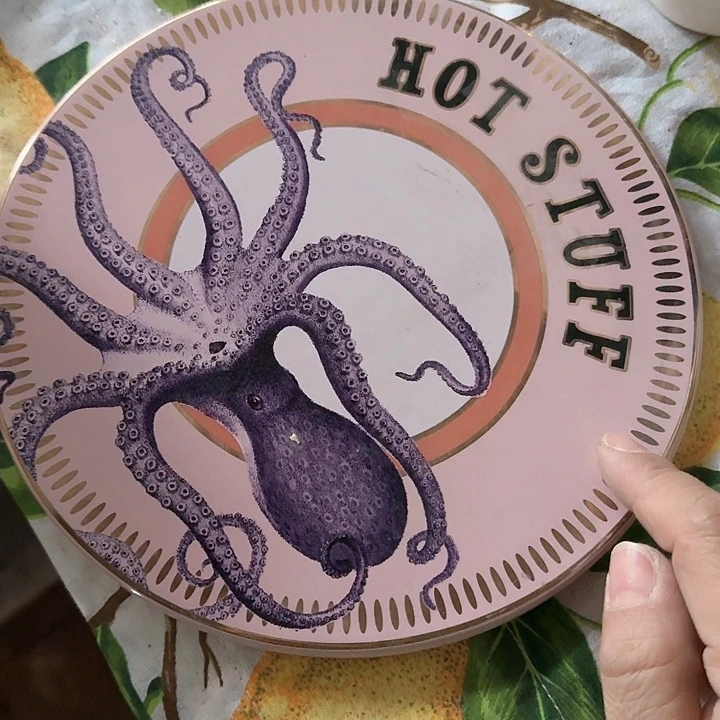 外贸陶瓷鱿鱼垫盘微瑕