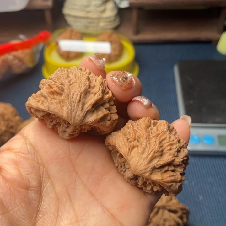 核桃38蛇头888888