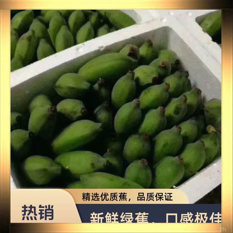 广西农家露天种植小米蕉酸甜可口整箱包邮
