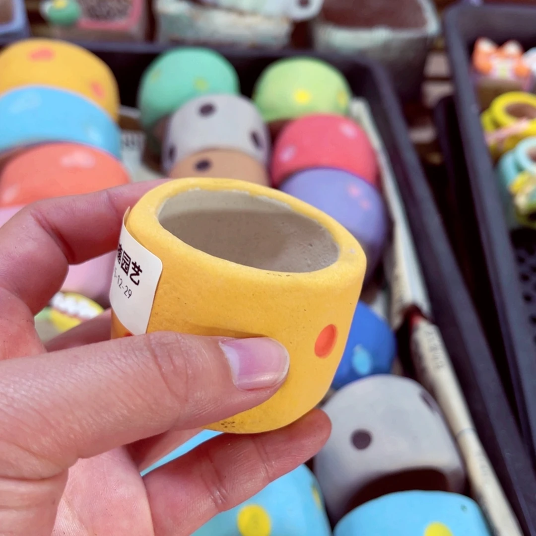 l***n23号带盆盆包邮发货