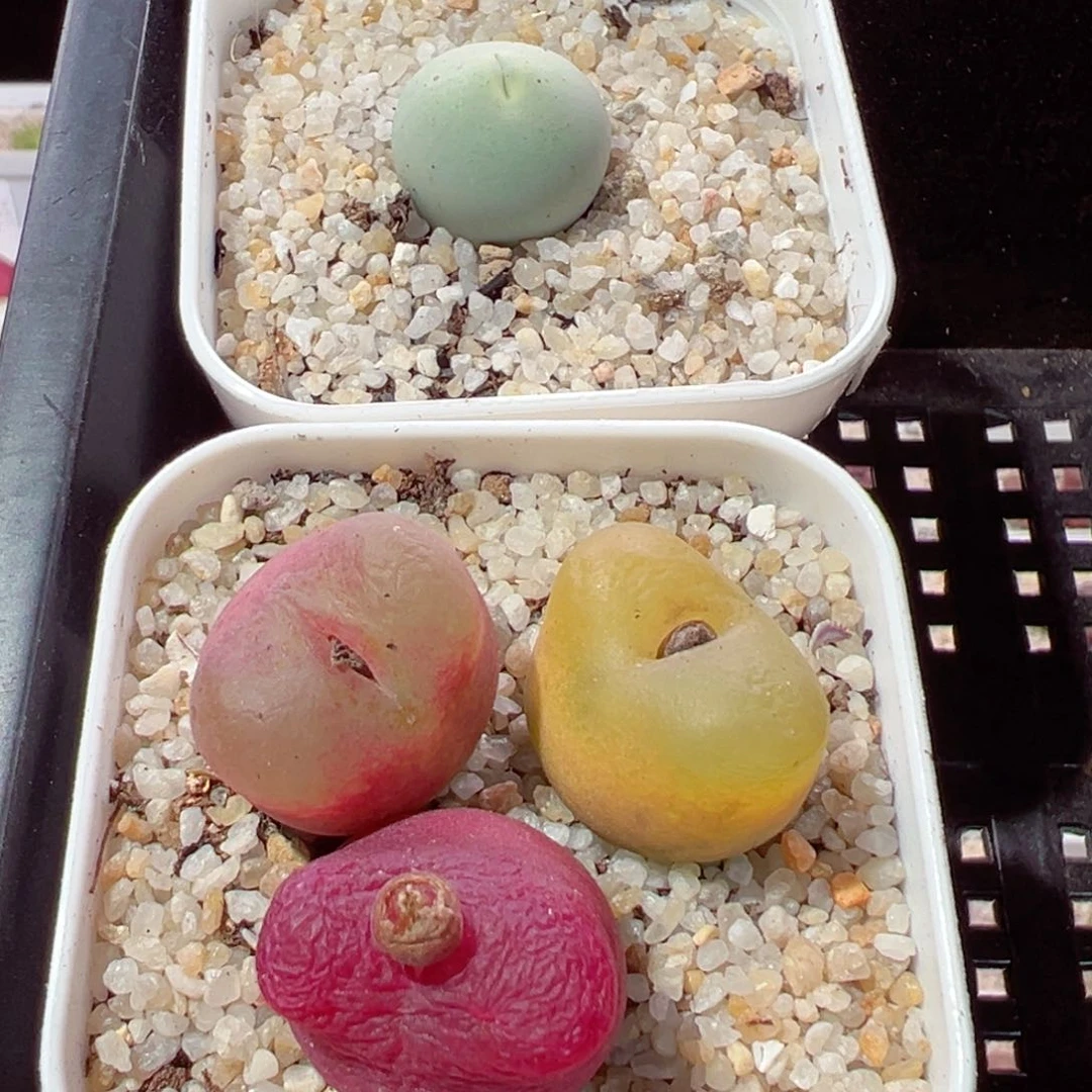 ｀****?213-657.我是真的