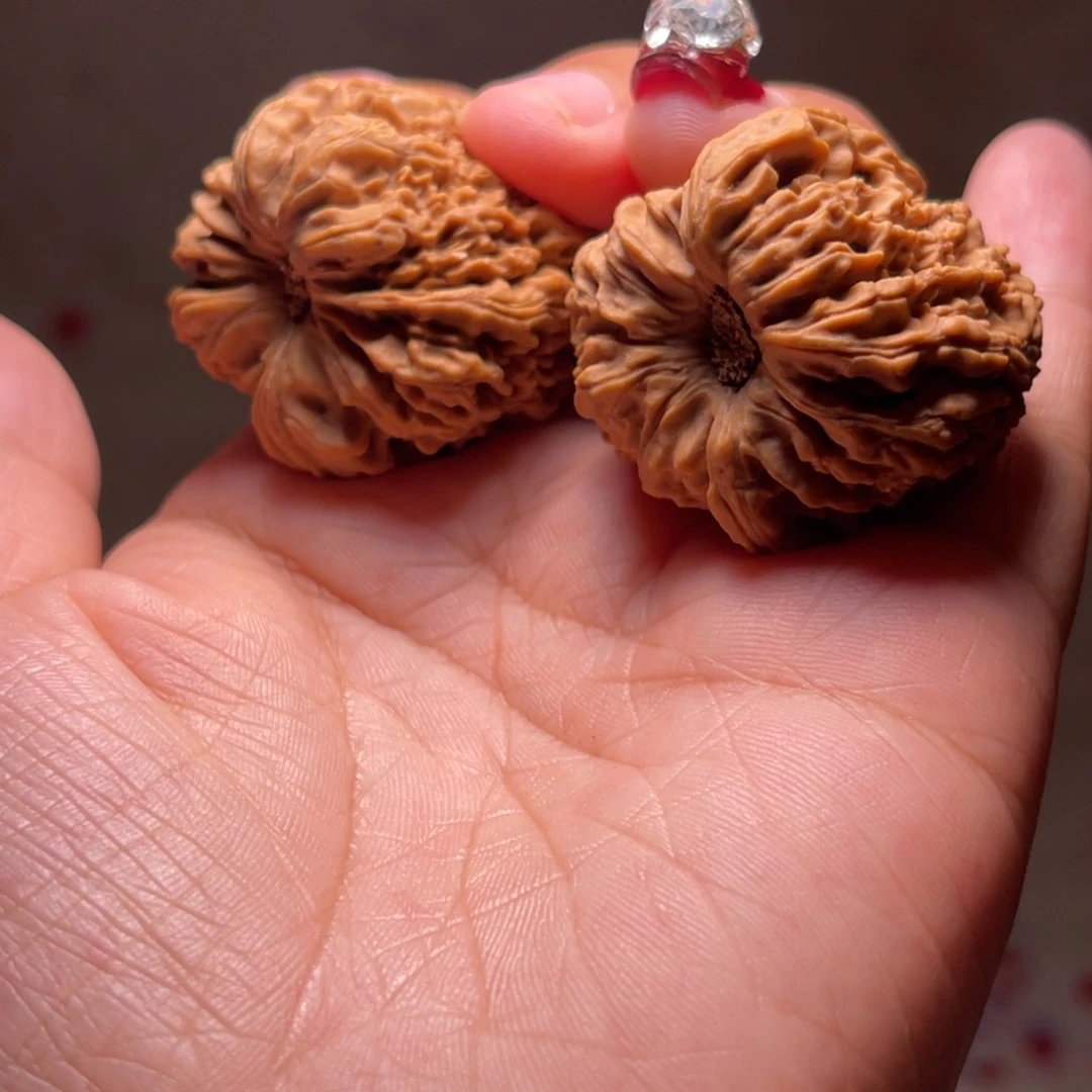 文玩核桃把件周*涛南疆