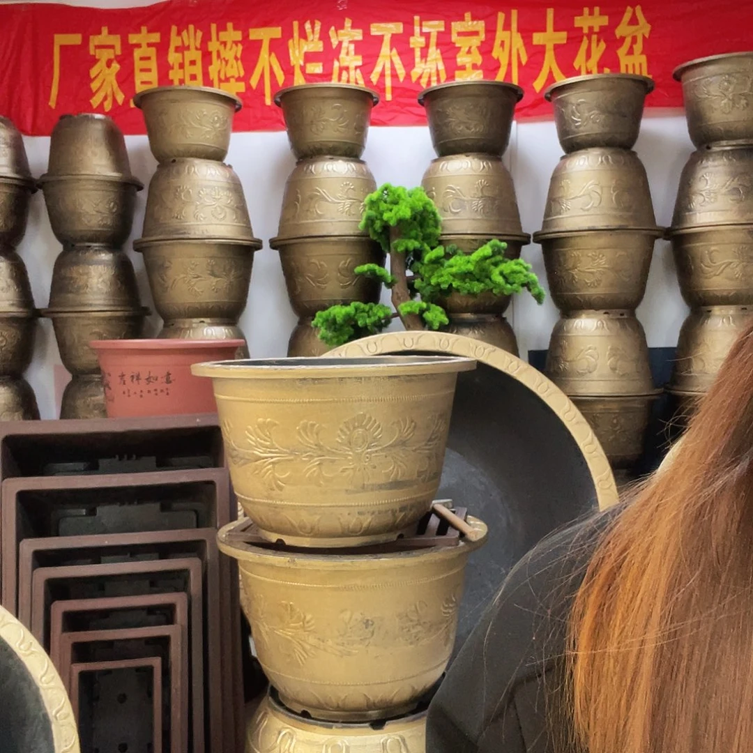 2个73盆栽！有孔有孔！