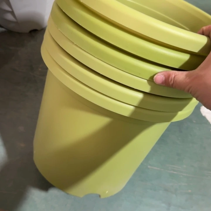 微瑕5号6个无托果绿