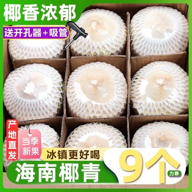 海南天然特产正宗9个装椰青新鲜椰子孕妇小孩新鲜水果现摘现发
