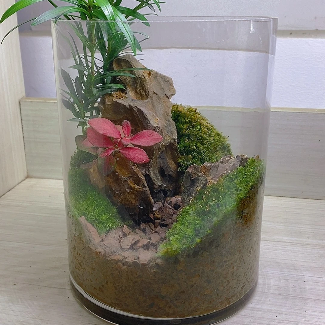 无花朵圆柱体花匠