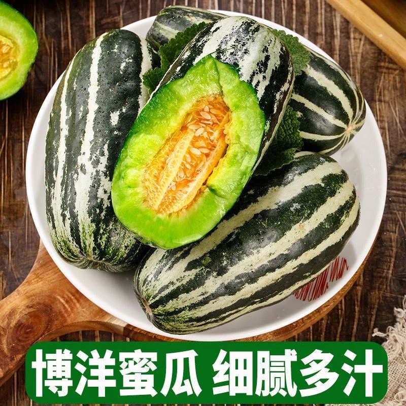 山东头茬博洋9号甜瓜超大酥脆香甜孕妇应季水果新鲜羊角春季蜜瓜