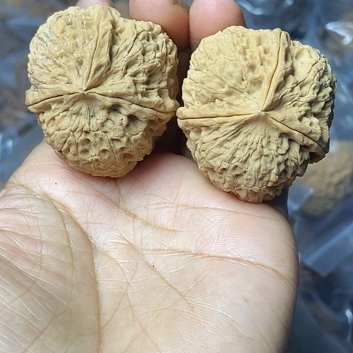 文玩核桃把件云南铁核桃基地20