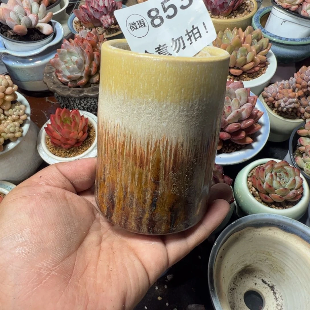 只随单或满50发货 内口6