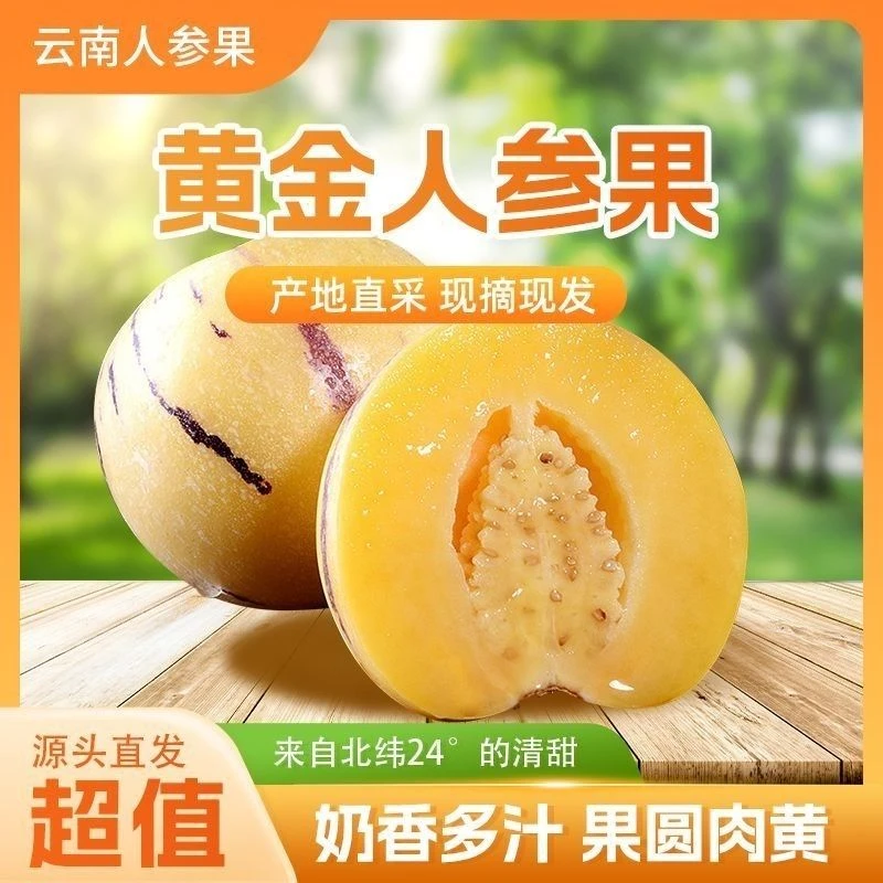 【爆汁甜】黄金人参果脆嫩多汁果香浓郁现摘现发（五斤装）
