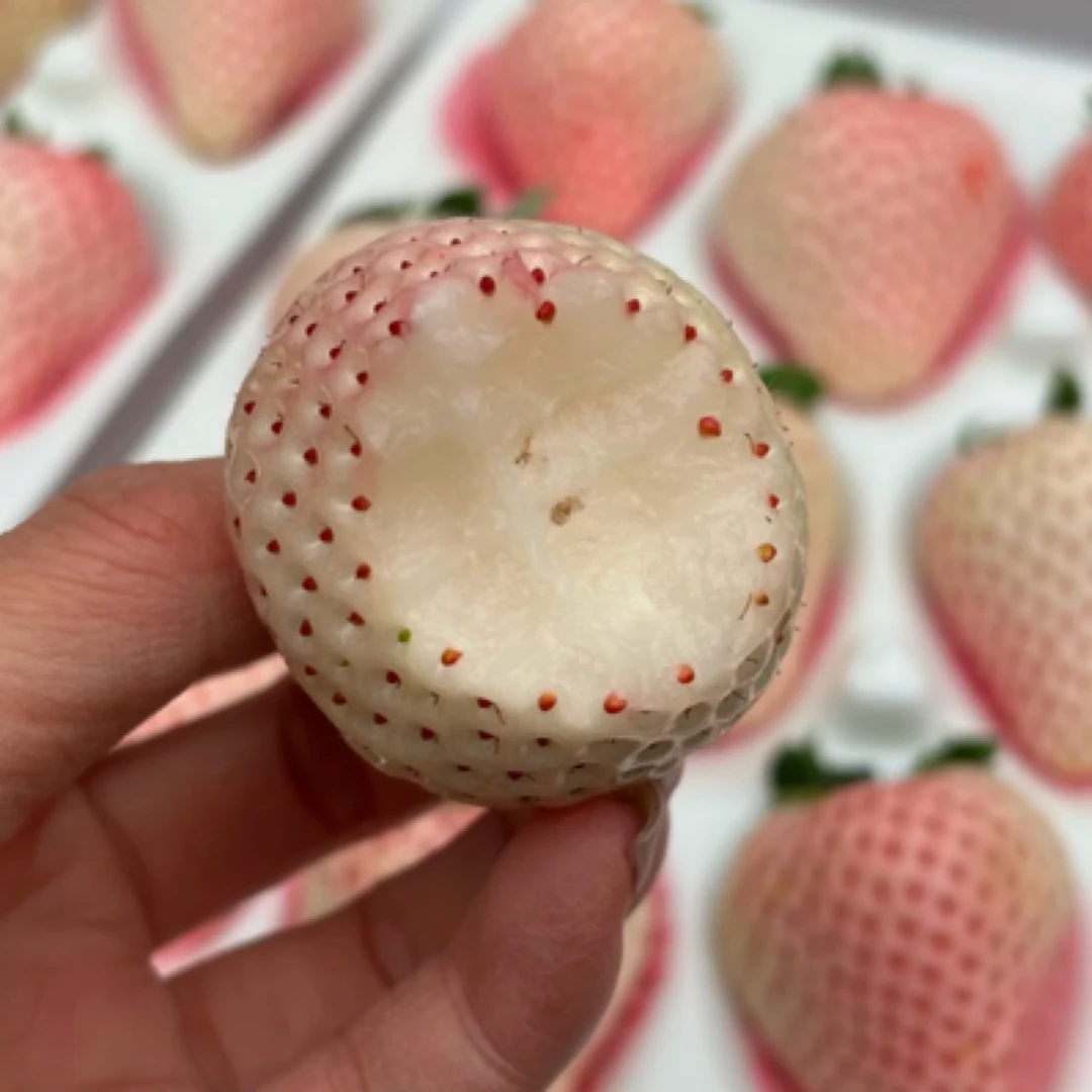 丹东天使淡雪草莓  300g一盒