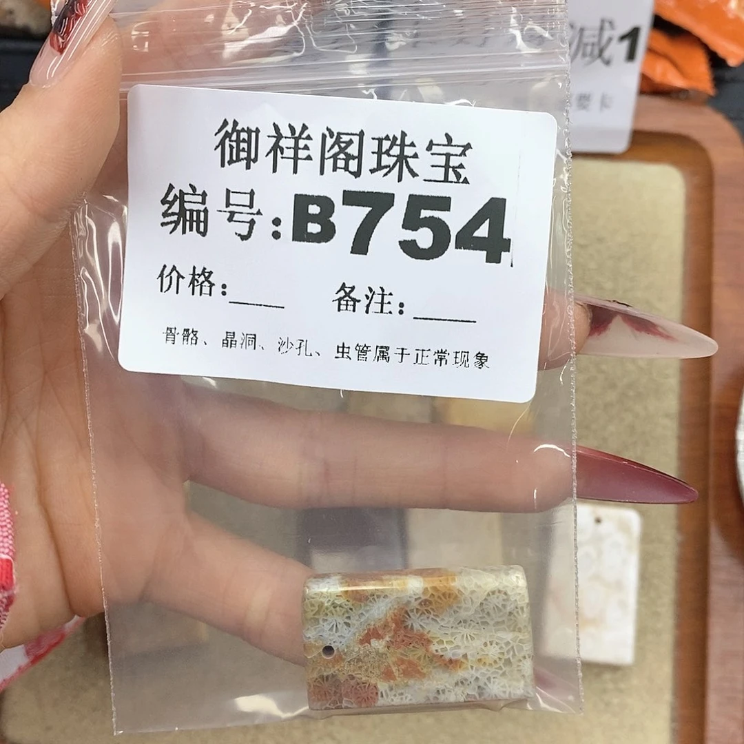 硅化珊瑚（珊瑚玉）颈饰未镶嵌A*o