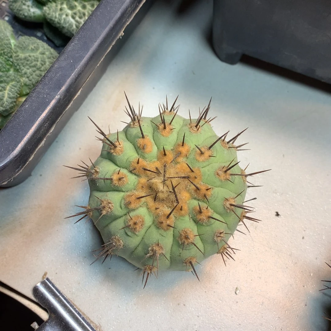 预存！！！！！！！！！！！！！！！！！