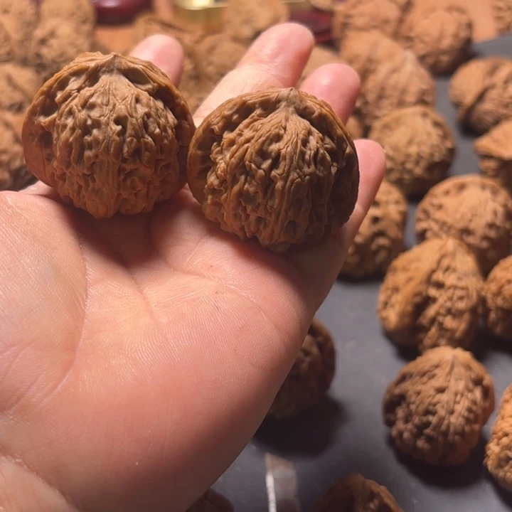 容****大叶紫檀（黑酸枝木类）