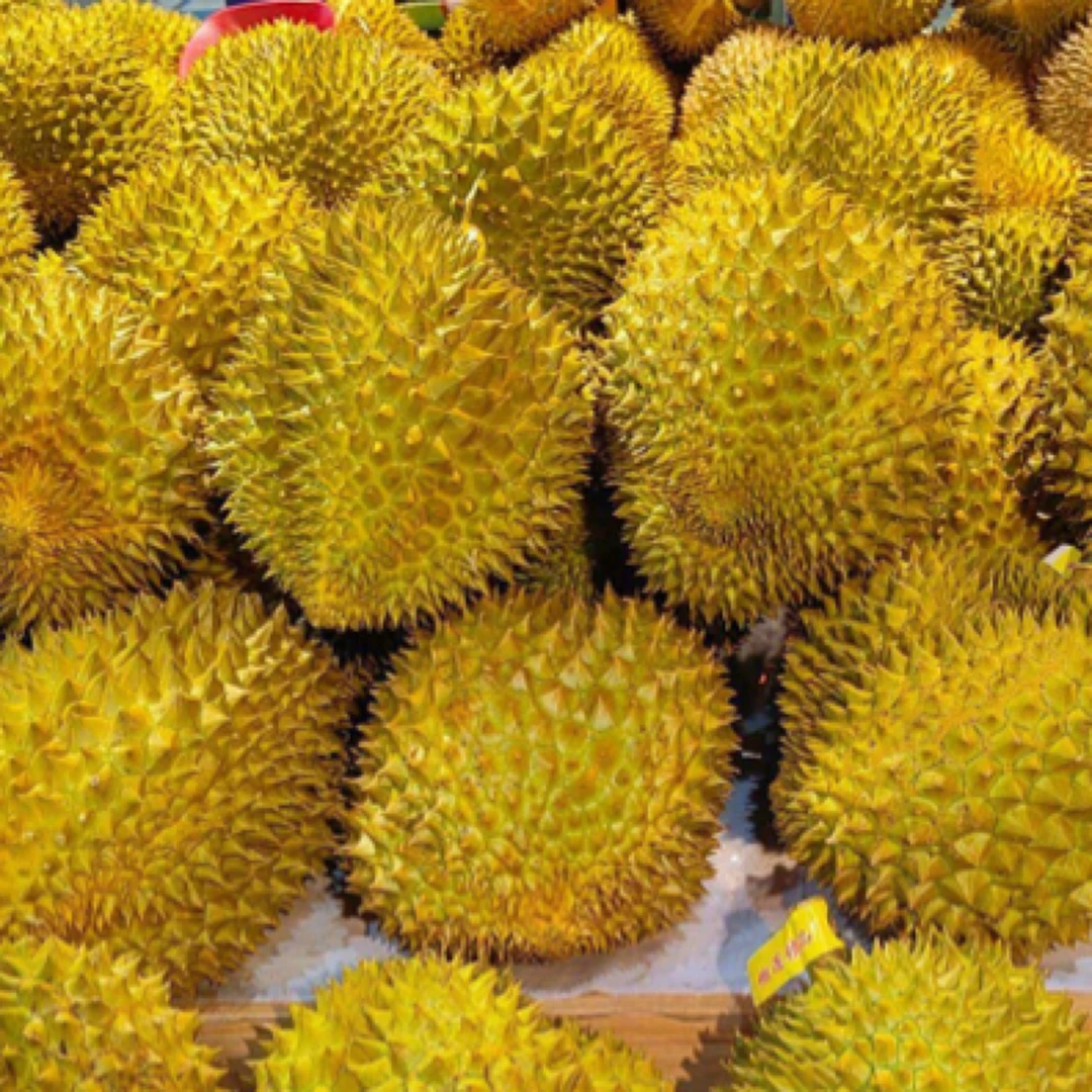 泰国新鲜树熟核小榴莲一个（一果一重）榴莲同城配金枕布基纳法索几内亚