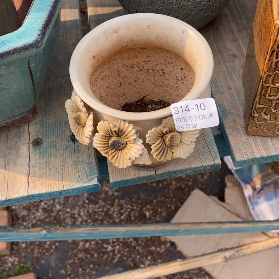 晴**李10号多肉盆一个