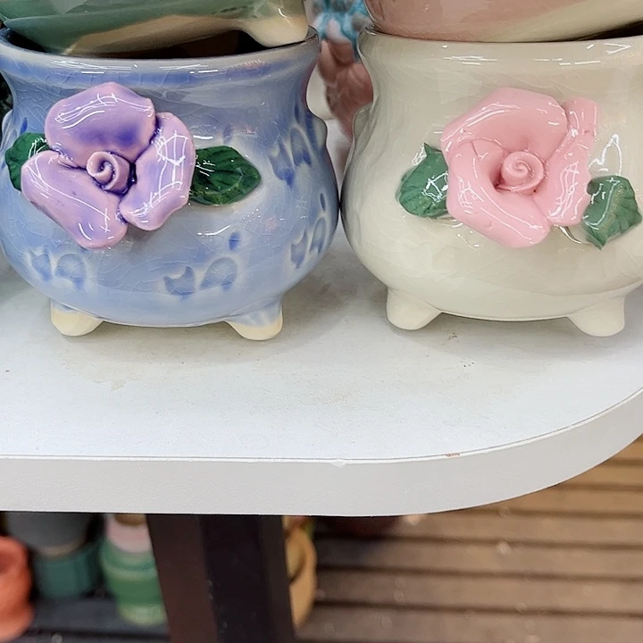 多肉植物陶瓷花盆