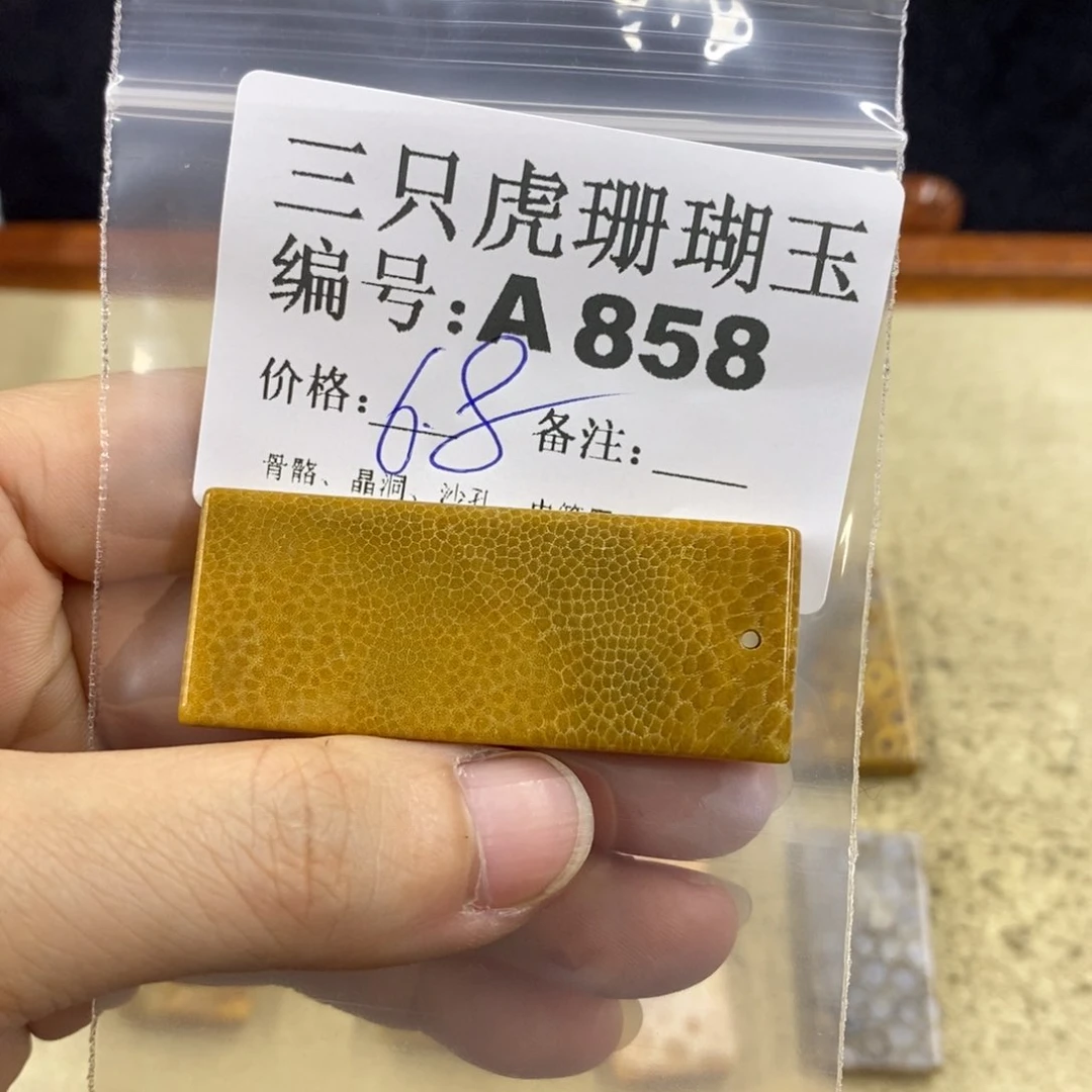 硅化珊瑚(珊瑚玉)1未镶嵌疍**儿