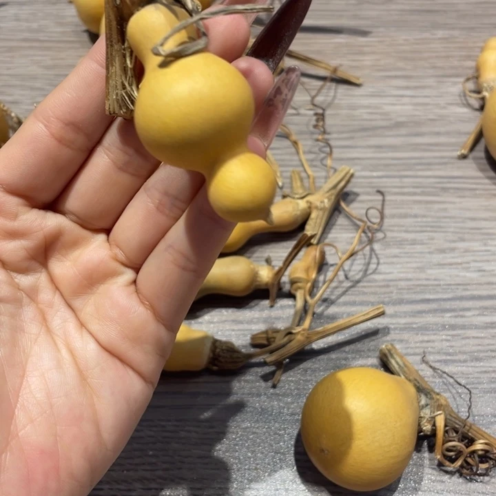 半***翠葫芦葫芦葫芦葫芦